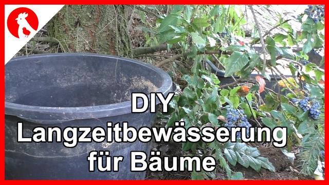 Günstige und einfache Methode: Baumbewässerung mit selbstgemachtem Bewässerungssack