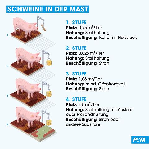 Haltungsform 4: Mehr Platz und Auslauf für Tiere Haltungsform 4: Mehr Platz und Auslauf für Tiere