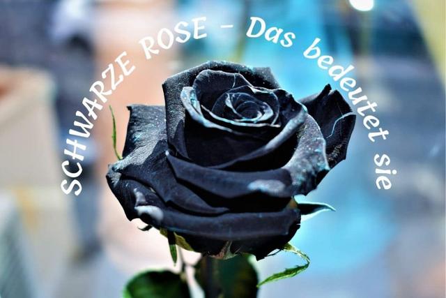 Schwarze Rosen: Eine Drohung oder ein Zeichen von Neugierde?