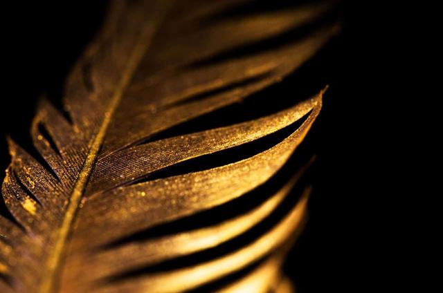 Die tiefe Symbolik von Federn: Eine spirituelle Reise