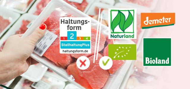 Haltungsform 1: Eine genaue Definition und ihre Auswirkungen Haltungsform 1: Eine genaue Definition und ihre Auswirkungen