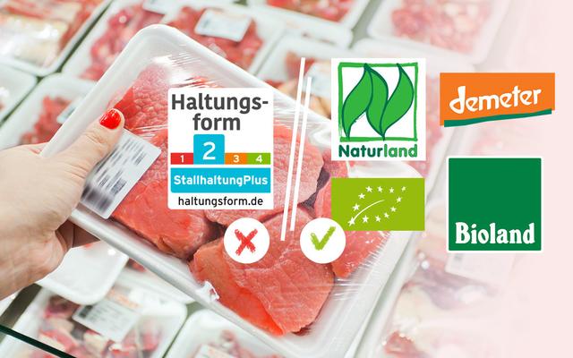 Haltungsform 4: Die beste Wahl für mehr Tierwohl?