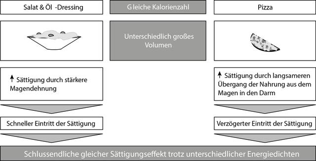 Welche Rolle spielen Ernährungsgewohnheiten bei der Beeinträchtigung des Stoffwechsels? Welche Rolle spielen Ernährungsgewohnheiten bei der Beeinträchtigung des Stoffwechsels?