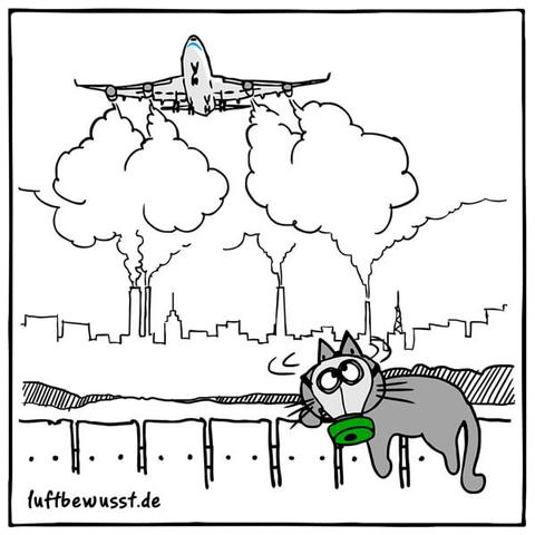 Wie können Umweltverschmutzung und Luftqualität die Atemwege beeinträchtigen? Wie können Umweltverschmutzung und Luftqualität die Atemwege beeinträchtigen?