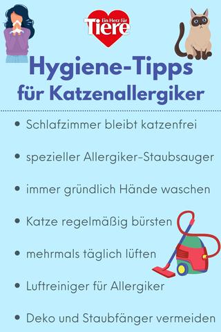 Tipps und Tricks: Was tun bei Katzenallergie? Tipps und Tricks: Was tun bei Katzenallergie?