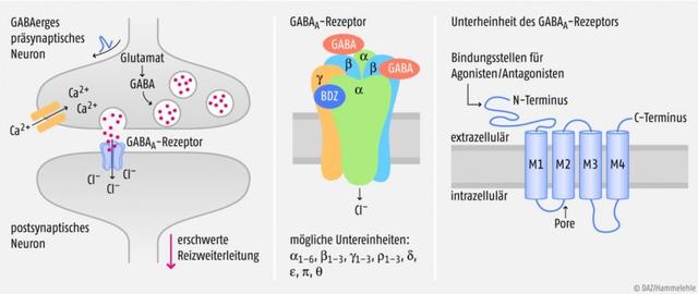 Wirkungsweise und Einsatzgebiete der Benzodiazepine Wirkungsweise und Einsatzgebiete der Benzodiazepine
