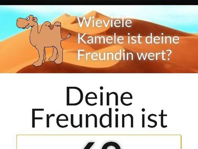 Wie viele Kamele ist deine Freundin laut dem Kamelrechner wert?