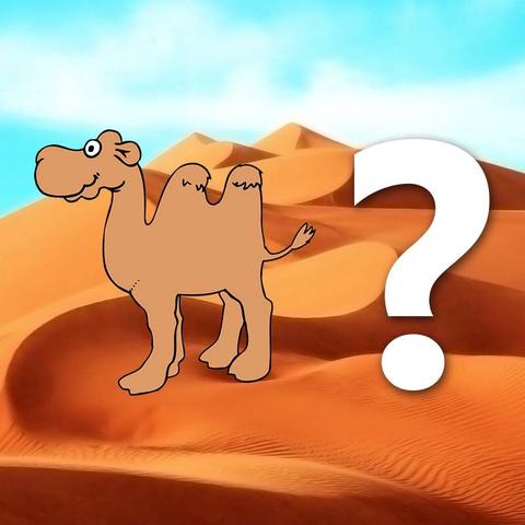 Der Kamelrechner enthüllt: Wie viele Kamele ist deine Freundin wert?