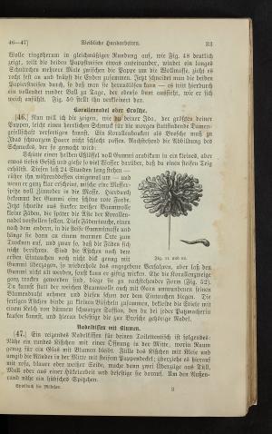 Vier Buchstaben: Das Geheimnis hinter 