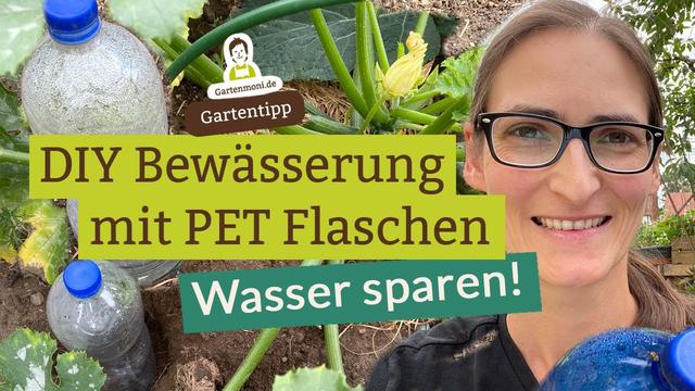 Bewässerungssysteme für Zimmerpflanzen: Flasche selber machen Bewässerungssysteme für Zimmerpflanzen: Flasche selber machen