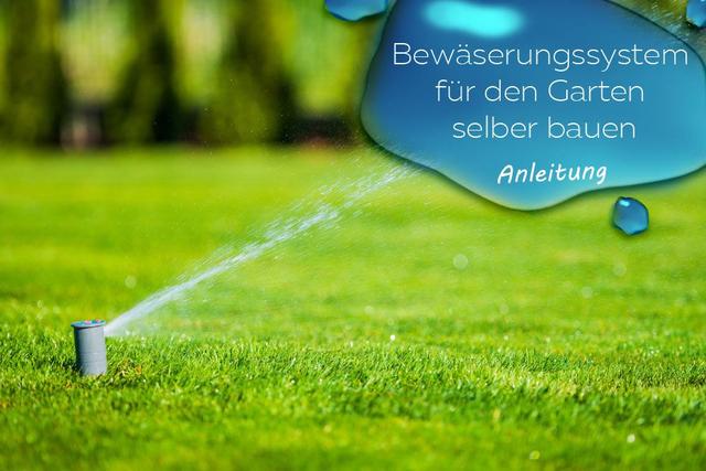 Geld und Zeit sparen: So bauen Sie Ihr eigenes Bewässerungssystem für den Garten