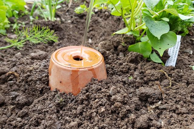 Effiziente Gartenbewässerung leicht gemacht: Bauanleitung für ein DIY-Bewässerungssystem