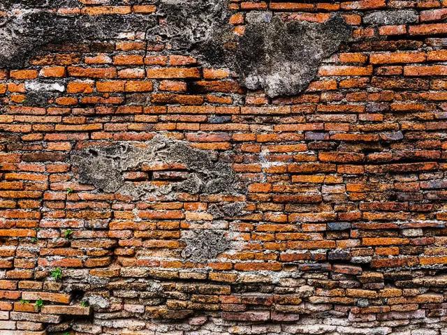 Vorbeugende Maßnahmen gegen Bienen im Mauerwerk