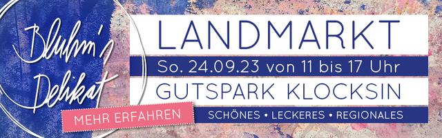 Restaurierung der Orgel der Georgenkirche beginnt