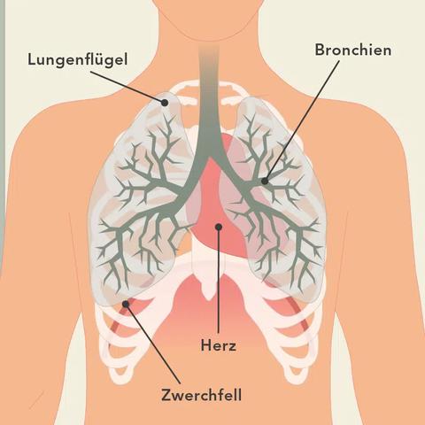 Ursachen und Behandlung von Blockaden beim tiefen Einatmen Ursachen und Behandlung von Blockaden beim tiefen Einatmen