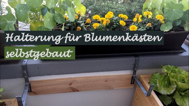 Praktische Tipps zur selbstgebauten Blumenkasten Halterung