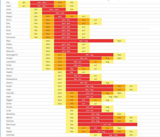 Allergiegeplagte aufgepasst: Welche Pollen blühen jetzt?
