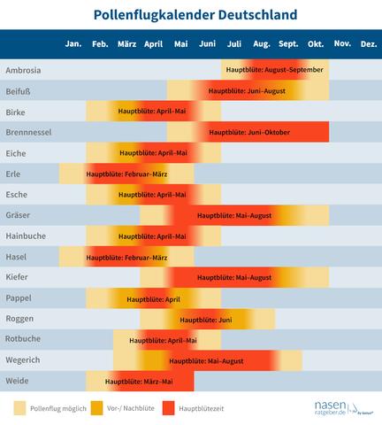 Aktuelle Blühzeiten für Allergiker im Jahr 2023