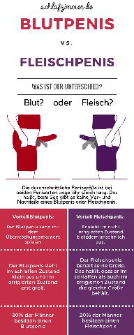 Blutpenis oder Fleischpenis: Was ist der Unterschied und welche Auswirkungen hat es beim Sex?