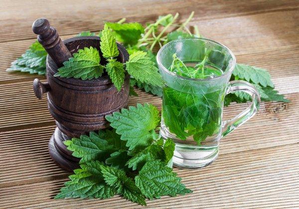 Gesundheit aus der Natur: Wie man Brennnesseltee selber macht und wofür er gut ist Gesundheit aus der Natur: Wie man Brennnesseltee selber macht und wofür er gut ist
