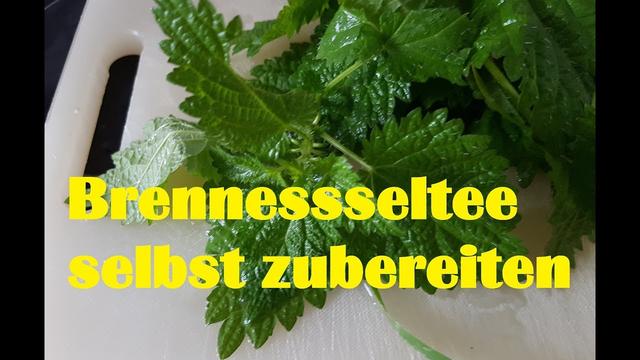 Kräuterkunde: Wie du deinen eigenen Brennnesseltee zubereitest Kräuterkunde: Wie du deinen eigenen Brennnesseltee zubereitest
