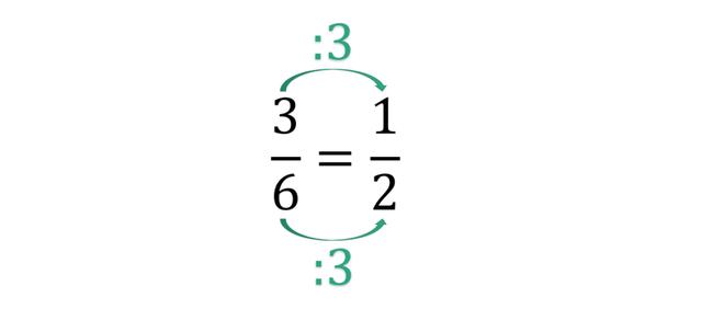 Schritt für Schritt: Das Kürzen von Brüchen leicht gemacht Schritt für Schritt: Das Kürzen von Brüchen leicht gemacht