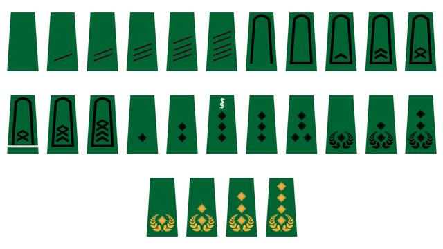 Die Bedeutung der Dienstgradabzeichen in der Bundeswehr: Von Mannschaften bis zu Generälen Die Bedeutung der Dienstgradabzeichen in der Bundeswehr: Von Mannschaften bis zu Generälen