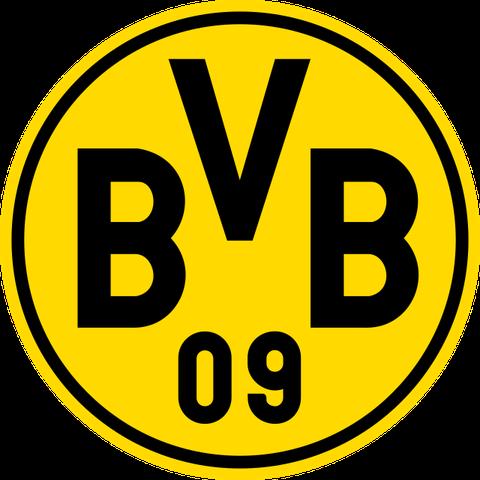 BVB: Ballspiel-Verein Borussia - Eine Vereinsgeschichte