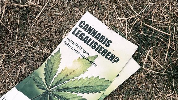 Frühere Strafen bei Cannabis-Legalisierung: Werden sie erlassen? Frühere Strafen bei Cannabis-Legalisierung: Werden sie erlassen?
