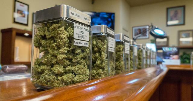 Rückwirkende Straferlassung bei Cannabis-Legalisierung: Werden frühere Strafen aufgehoben? Rückwirkende Straferlassung bei Cannabis-Legalisierung: Werden frühere Strafen aufgehoben?