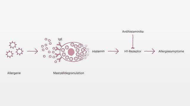 Alles, was Sie über Cetirizin wissen müssen: Wirkung und Anwendung