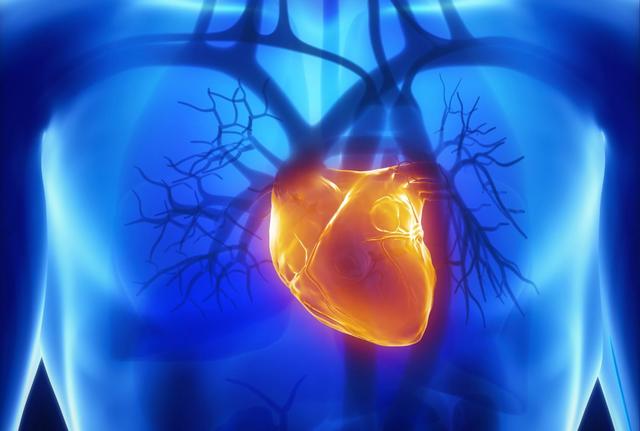 Die Bedeutung des CK-Werts: Wann wird er gefährlich? Die Bedeutung des CK-Werts: Wann wird er gefährlich?