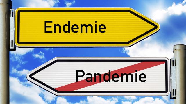 Auswirkungen der endemischen Verbreitung von COVID-19 Auswirkungen der endemischen Verbreitung von COVID-19