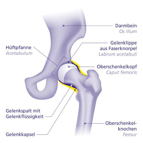Beweglichkeit erhalten bei Coxarthrose: Maßnahmen und Übungen