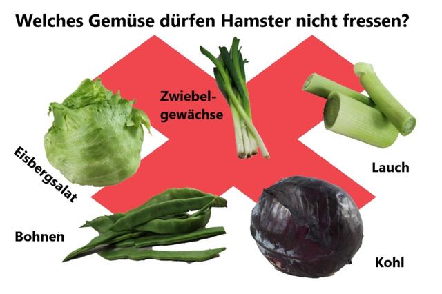 Tomaten für Hamster: Erlaubt oder nicht?