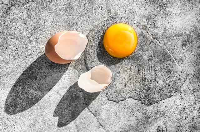 Rohes Ei in der Hundeernährung: Vor- und Nachteile, die du kennen solltest Rohes Ei in der Hundeernährung: Vor- und Nachteile, die du kennen solltest