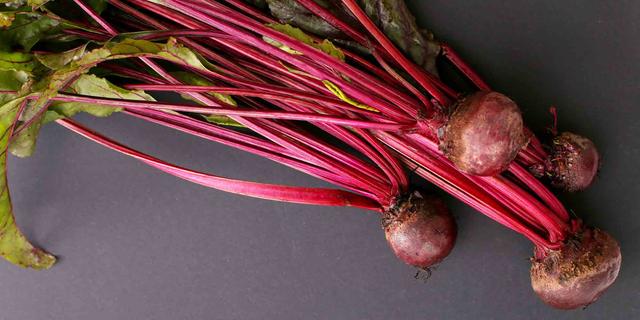 Die 7 häufigsten Fragen zu Roter Beete für Hunde beantwortet Die 7 häufigsten Fragen zu Roter Beete für Hunde beantwortet