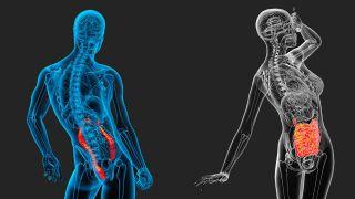 Darmreinigung zu Hause: So funktioniert die Darmspülung richtig Darmreinigung zu Hause: So funktioniert die Darmspülung richtig