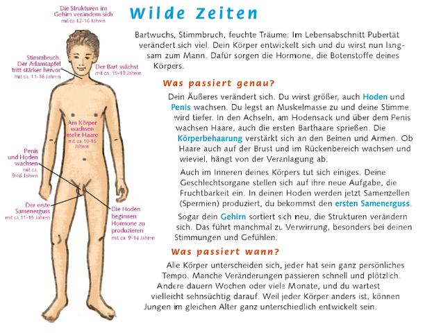 Der Abschluss der Pubertät: Wie lange dauern die Veränderungen im Körper an? Der Abschluss der Pubertät: Wie lange dauern die Veränderungen im Körper an?