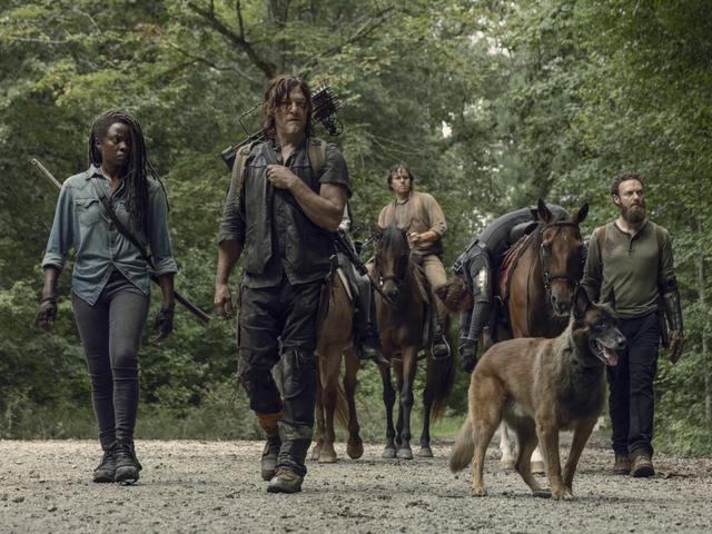 Abschied von "The Walking Dead": Wann endet die Serie? Abschied von "The Walking Dead": Wann endet die Serie?