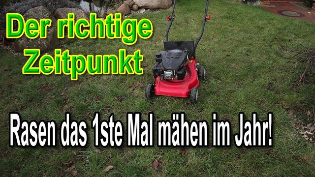 Wann ist der beste Zeitpunkt für den ersten Rasenschnitt? Wann ist der beste Zeitpunkt für den ersten Rasenschnitt?