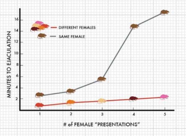 Der Coolidge-Effekt: Eine Erklärung für gesteigertes sexuelles Verlangen bei Männern Der Coolidge-Effekt: Eine Erklärung für gesteigertes sexuelles Verlangen bei Männern