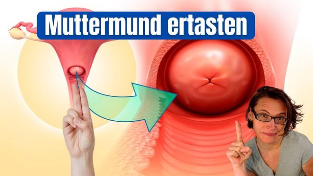 Die Bedeutung des Muttermunds für die Fruchtbarkeit Die Bedeutung des Muttermunds für die Fruchtbarkeit