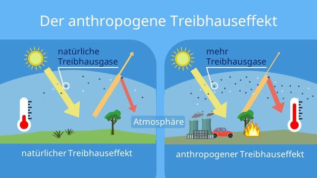 Der Treibhauseffekt: Erklärung und Bedeutung für unser Klima