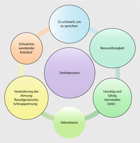 Was sind die 5 Phasen des Sterbens und wie werden sie wahrgenommen?