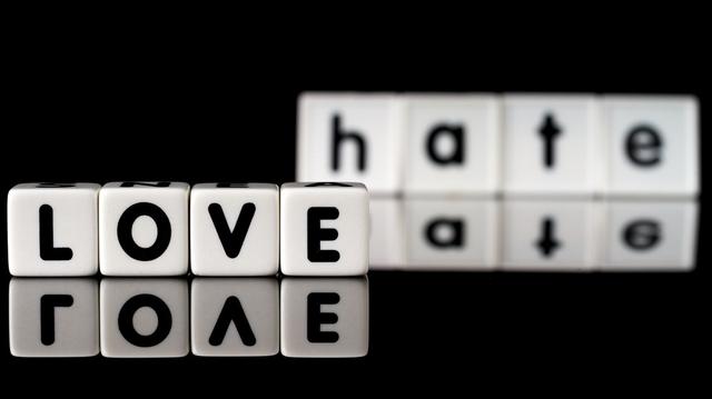 Die ambivalente Natur des Menschen: Einblicke und Analysen Die ambivalente Natur des Menschen: Einblicke und Analysen