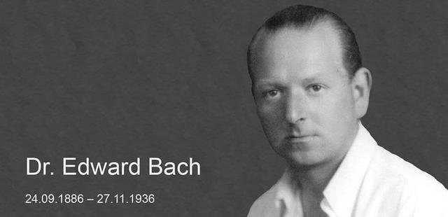 4. Die Wirkungsweise der Bachblütentherapie nach Edward Bach 4. Die Wirkungsweise der Bachblütentherapie nach Edward Bach