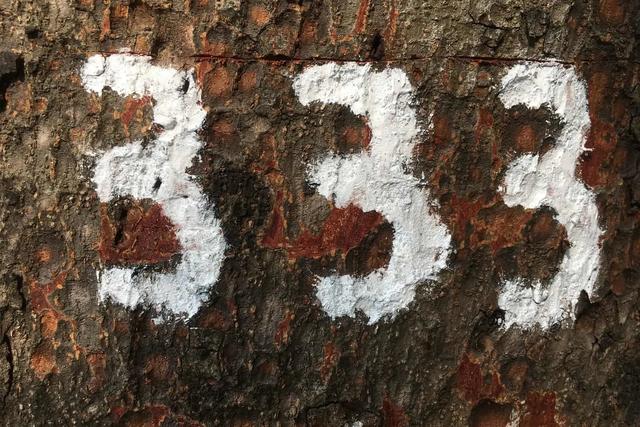 Die positive Bedeutung der Engelszahl 333: Vergebung und Weiterentwicklung Die positive Bedeutung der Engelszahl 333: Vergebung und Weiterentwicklung