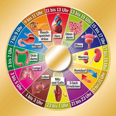 Warum sollte man auf die gleiche Uhrzeit achten? Warum sollte man auf die gleiche Uhrzeit achten?