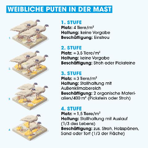 Haltungsform 2 im Detail: Was Verbraucher wissen sollten Haltungsform 2 im Detail: Was Verbraucher wissen sollten